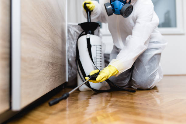 Professional Pest Control in Golden Shores, AZ