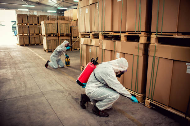 Best Affordable Pest Control Services  in Golden Shores, AZ