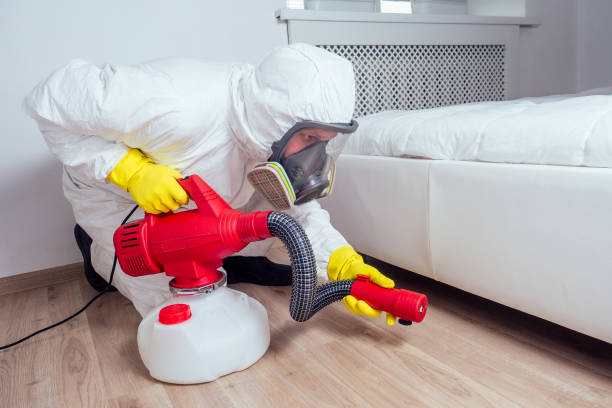 Best Affordable Pest Control Services  in Golden Shores, AZ